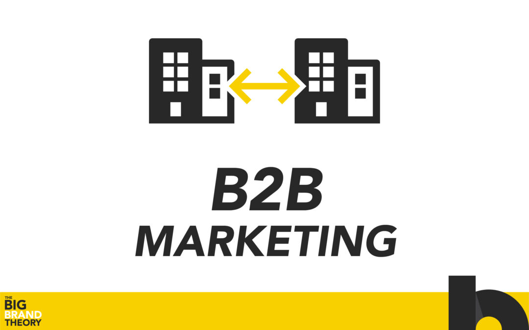 B2B Marketing & Brand Equity: The Big Brand Theory
