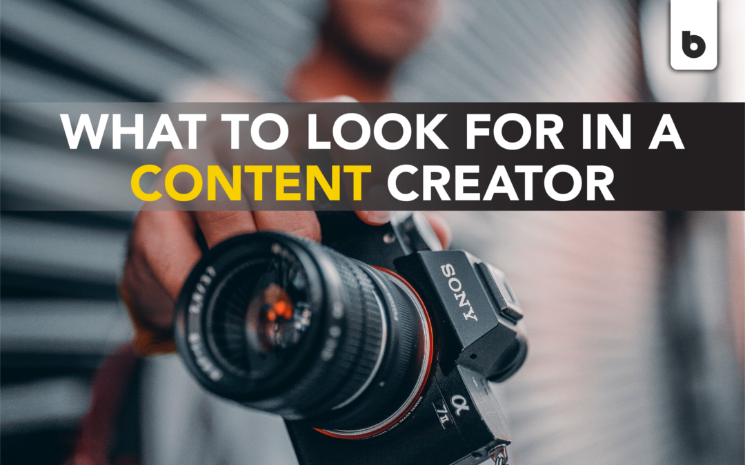 What to Look for in a Content Creator